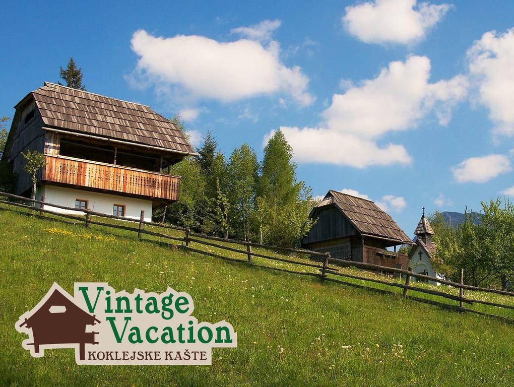 Domacija Koklej - Apartments Vintage Vacation Luče Esterno foto