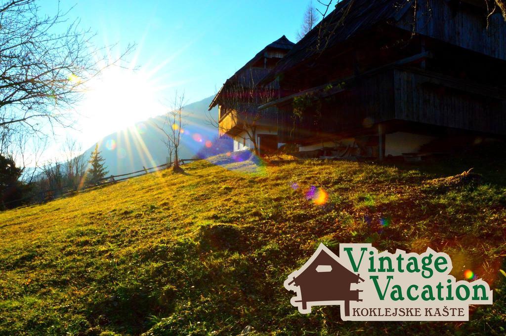 Domacija Koklej - Apartments Vintage Vacation Luče Esterno foto