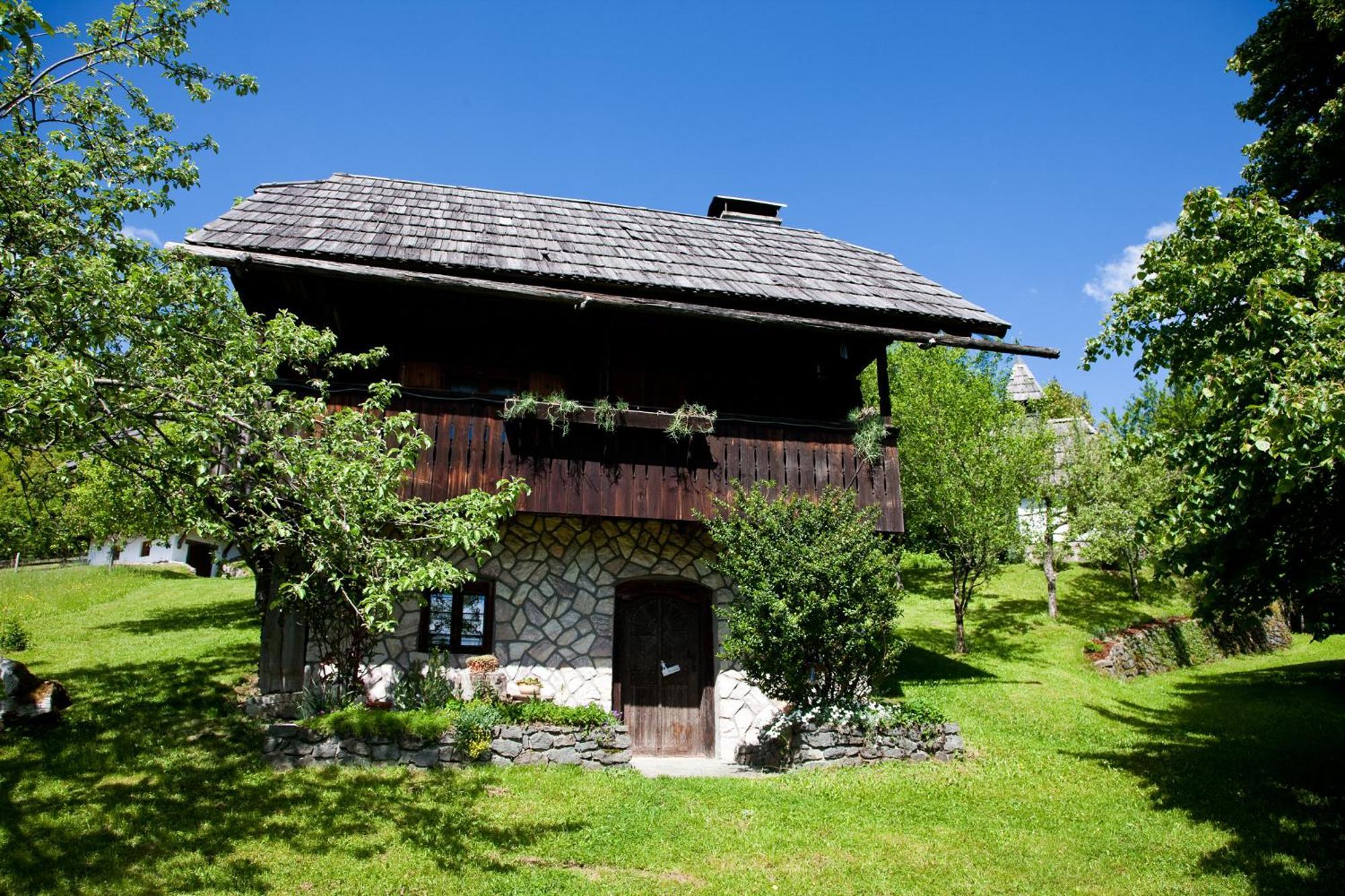 Domacija Koklej - Apartments Vintage Vacation Luče Esterno foto
