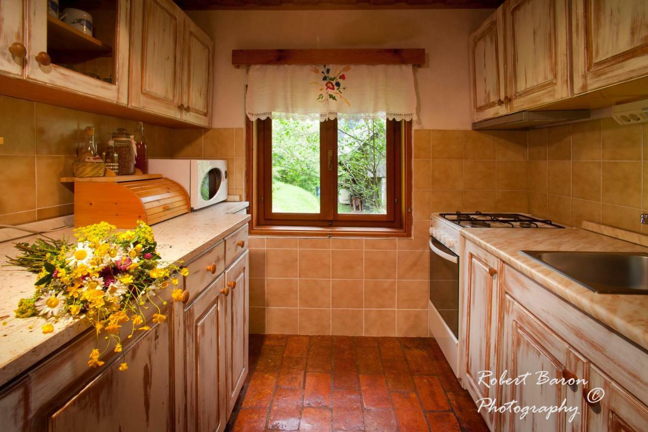 Domacija Koklej - Apartments Vintage Vacation Luče Esterno foto