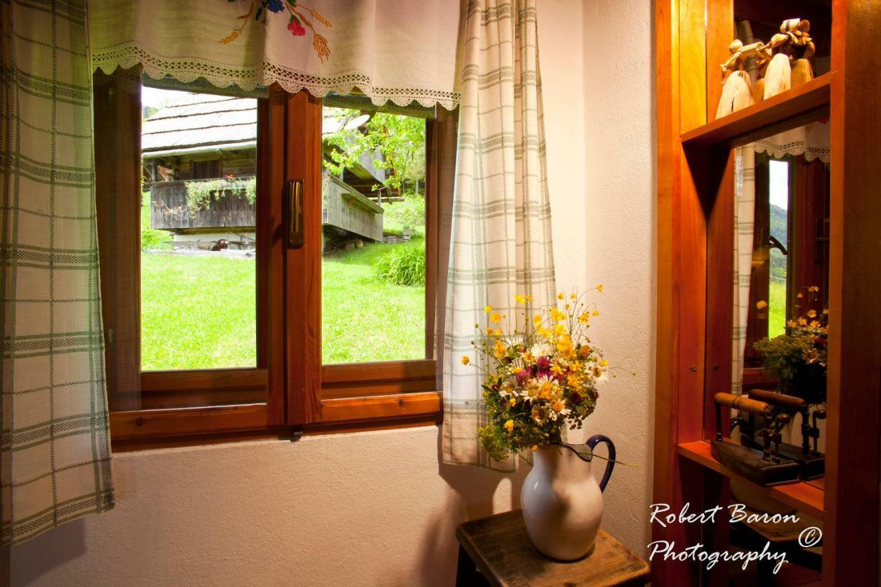 Domacija Koklej - Apartments Vintage Vacation Luče Esterno foto